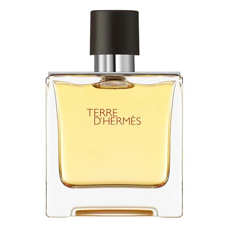 there hermes profumo|hermes terre d'hermes bottle.